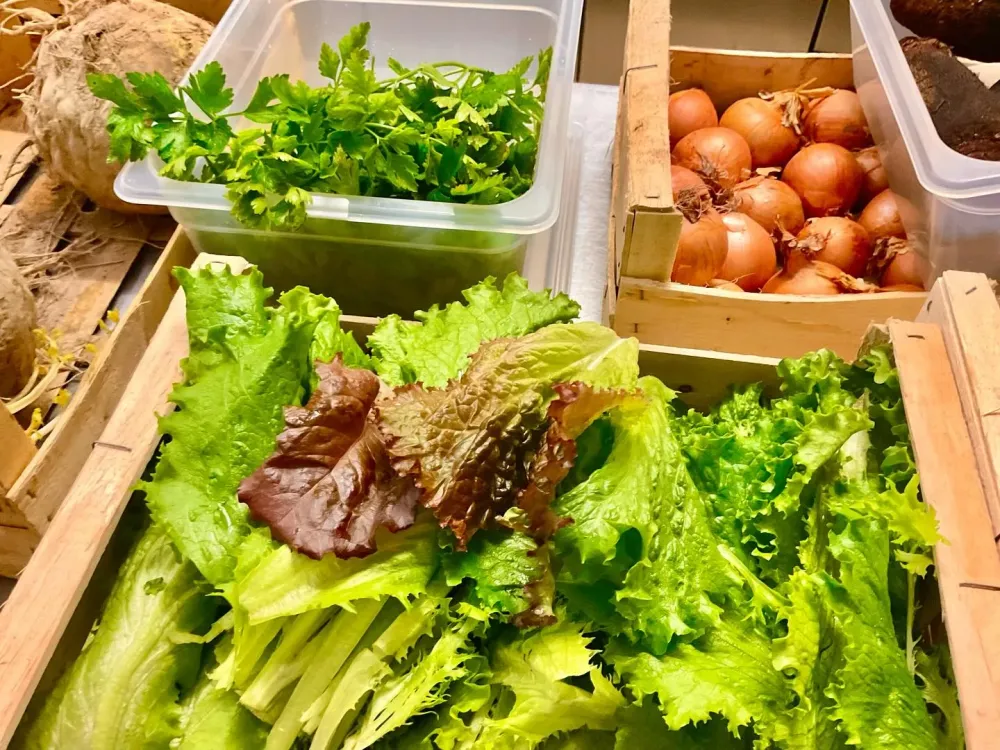 Les légumes de Denis Bouhours